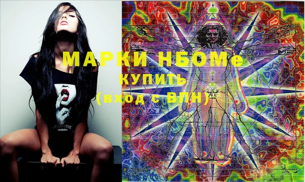 индика Новодвинск
