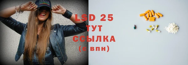 индика Новодвинск