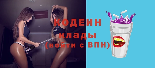 индика Новодвинск