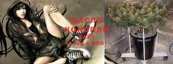 индика Новодвинск