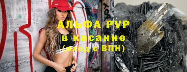 индика Новодвинск