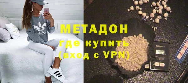 индика Новодвинск