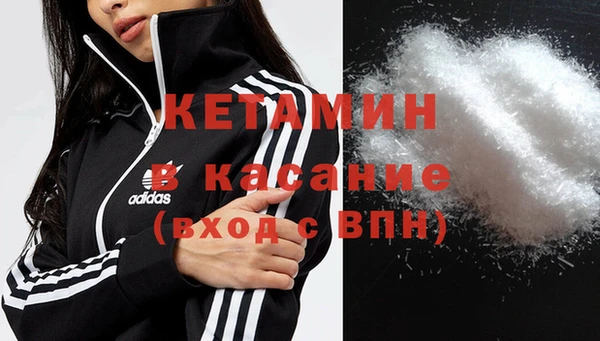 индика Новодвинск