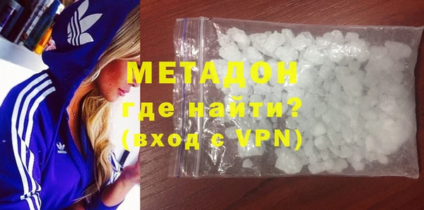 индика Новодвинск