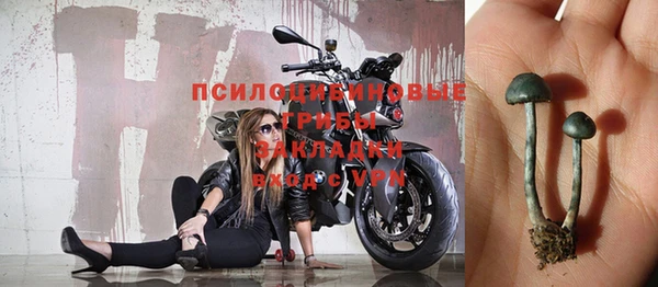 прущие крисы Няндома