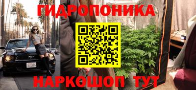ECSTASY Кумертау