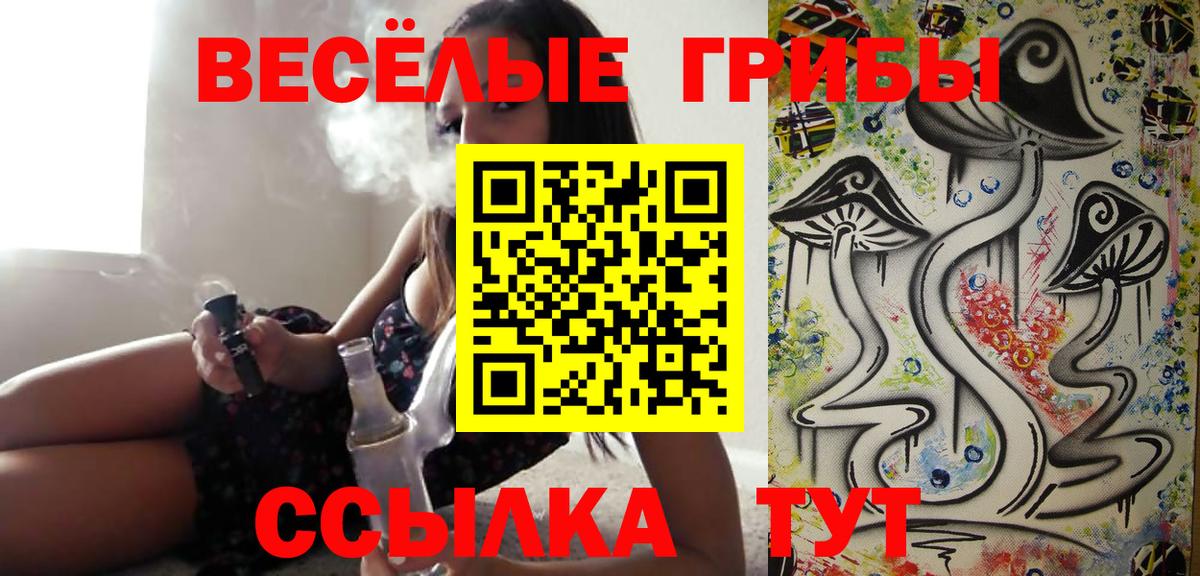 Псилоцибиновые грибы GOLDEN TEACHER  Вход с VPN  где найти   Сочи  Псилоцибиновые грибы Psilocybine cubensis 