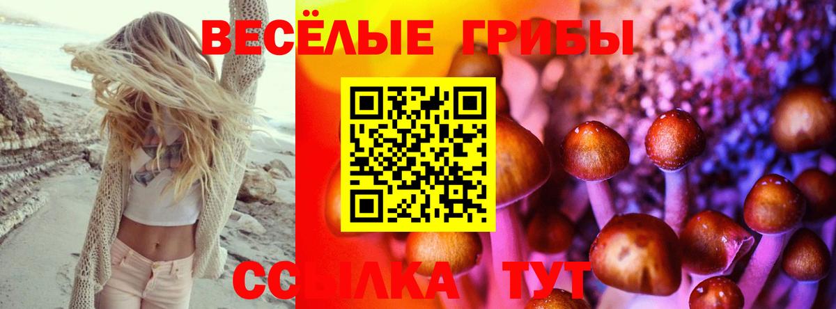 Галлюциногенные грибы мицелий Сочи